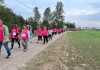 Camminata solidale ad Asola: grande partecipazione per la ricerca sui tumori femminili