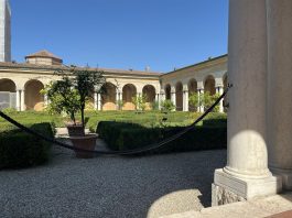 Ingressi gratuiti e visite guidate speciali a novembre in Palazzo Ducale