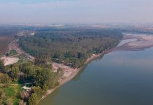 “Ritorno all’Isola Trento”: domenica il Wwf accompagna i cittadini alla scoperta del Po