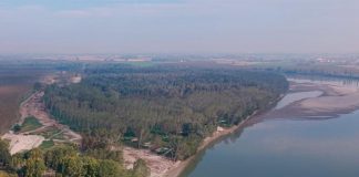 “Ritorno all’Isola Trento”: domenica il Wwf accompagna i cittadini alla scoperta del Po