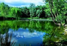Nuovi percorsi e restyling per i sentieri naturalistici di Castiglione delle Stiviere