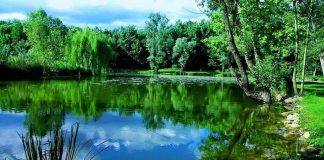 Nuovi percorsi e restyling per i sentieri naturalistici di Castiglione delle Stiviere
