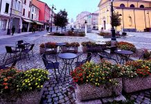 Suzzara, centro storico più pulito: il Comune e Mantova Ambiente potenziano i servizi