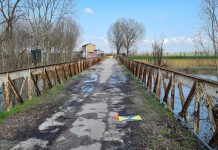 Aiuti attività commerciali ad Acquanegra e potenziamento del trasporto pubblico locale