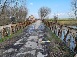 Aiuti attività commerciali ad Acquanegra e potenziamento del trasporto pubblico locale