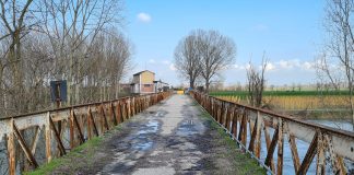 Aiuti attività commerciali ad Acquanegra e potenziamento del trasporto pubblico locale