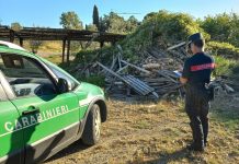 Rifiuti pericolosi e beni rubati sotto sequestro: doppio blitz dei Carabinieri Forestali