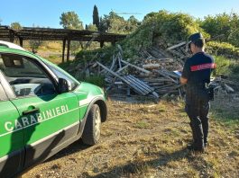 Rifiuti pericolosi abbandonati e beni rubati sotto sequestro: doppio blitz dei Carabinieri Forestali