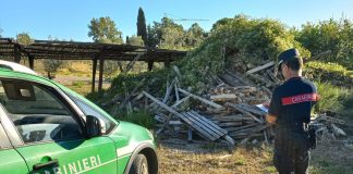 Rifiuti pericolosi abbandonati e beni rubati sotto sequestro: doppio blitz dei Carabinieri Forestali