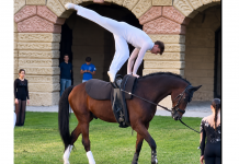 Mantova, oltre 8mila ingressi nei musei nel weekend: applausi per il volteggio alla Cavallerizza