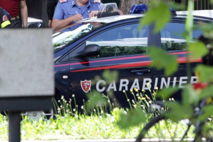 albero_cade_su_auto_in_viale_zara