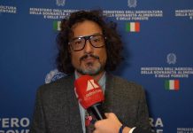 Made in Italy, Chef Borghese: “Ristorazione italiana deve offrire esperienza autentica”