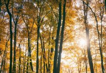 Il maltempo molla la presa, torna l’anticiclone e salgono le temperature: la tendenza dei prossimi giorni