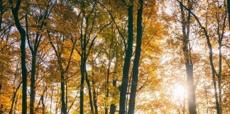Il maltempo molla la presa, torna l’anticiclone e salgono le temperature: la tendenza dei prossimi giorni