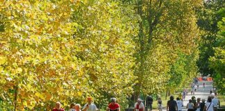 Con l’autunno cambiano le abitudine a tavola, ecco perché aumenta la fame