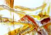 Suzzara: in mostra le opere di Grazia Badari sul Po tra vita e arte