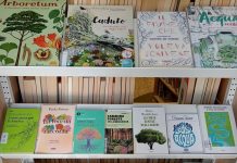 Biblioteca ancora inutilizzabile: “Insieme per Goito” chiede tempi certi per la riapertura