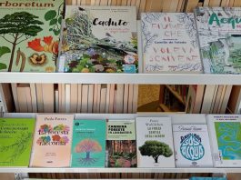 Biblioteca ancora inutilizzabile: “Insieme per Goito” chiede tempi certi per la riapertura