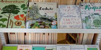 Biblioteca ancora inutilizzabile: “Insieme per Goito” chiede tempi certi per la riapertura