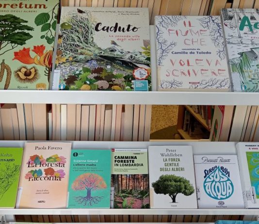 Biblioteca ancora inutilizzabile: “Insieme per Goito” chiede tempi certi per la riapertura