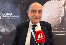 Campanile (Buffalo Federation), “Robotica e genomica cambieranno l’allevamento”