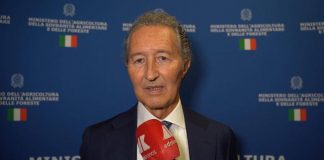 Made in Italy, Federdistribuzione: “Ristorazione fondamentale per eccellenze italiane”