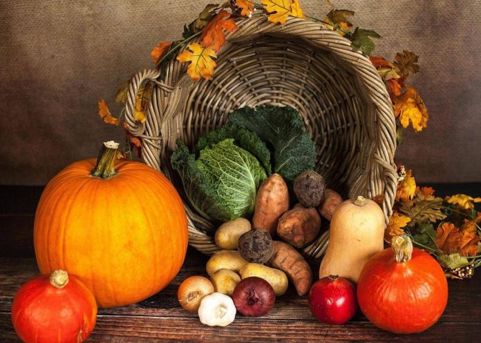 zucche colorate cibo_autunno_123rf