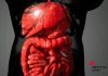 Farmaci, Aifa approva mirikizumab anche nel trattamento della malattia di Crohn