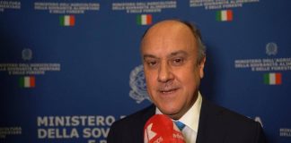 Made in Italy, Federdistribuzione Horeca: “Grande cambiamento distribuzione moderna in ultimi anni”