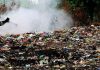 Mantova, 91 reati ambientali e 65 denunce. Illeciti sugli animali, 27 sequestri: seconda in Lombardia
