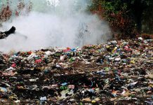 Mantova, 91 reati ambientali e 65 denunce. Illeciti sugli animali, 27 sequestri: seconda in Lombardia