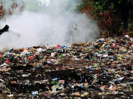 Mantova, 91 reati ambientali e 65 denunce. Illeciti sugli animali, 27 sequestri: seconda in Lombardia