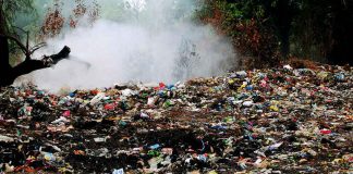 Mantova, 91 reati ambientali e 65 denunce. Illeciti sugli animali, 27 sequestri: seconda in Lombardia