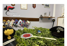 Marcaria, marijuana e materiale per lo spaccio in casa: denunciato 25enne