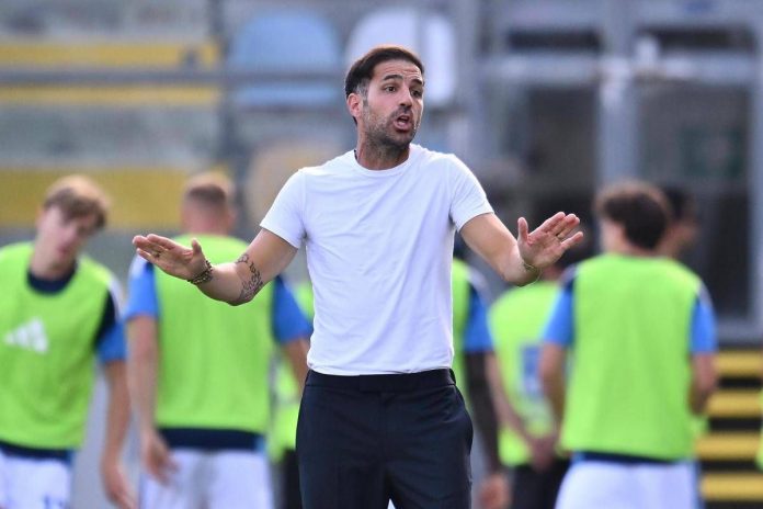 fabregas
