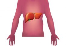 Malattie autoimmuni del fegato, nuova strategia con nanovettori in studio italiano