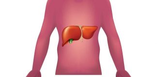 Malattie autoimmuni del fegato, nuova strategia con nanovettori in studio italiano