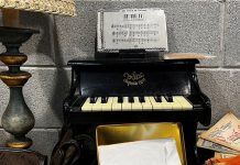 Gonzaga, grande successo per “C’era Una Volta”: il fascino dell’antiquariato conquista tutti