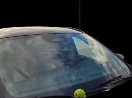Frutto colpisce un’auto alla rotatoria dei giardini Nuvolari: parabrezza crepato, paura per un anziano