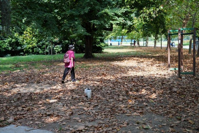 ftg_ipa_autunno_foglie_milano