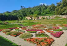 Turismo, in Irlanda del Nord i Walled Gardens svelano storie di dimore nobiliari in parchi lussureggianti