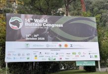 ‘World Buffalo Congress’ road map per futuro con meno burocrazia e più innovazione