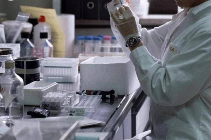 laboratorio_fg-2
