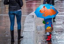 Maltempo, allerta meteo arancione oggi in Campania, Calabria, Puglia e Sicilia. L’elenco delle scuole chiuse