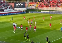 MANTOVA-PALERMO 0-0 diretta LIVE dallo stadio Martelli