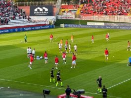 MANTOVA-PALERMO 0-0 diretta LIVE dallo stadio Martelli