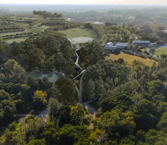 Il Migliaretto prende forma: arena da 50mila spettatori, 1.600 nuovi alberi e percorsi verdi