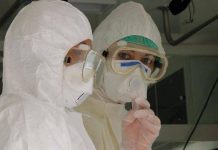 Virus Shamonda, Lopalco: “È favorito da crisi climatica, svegliamoci”