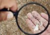 Microplastiche e salute della donna, Fondazione Sigo avvia percorso informativo