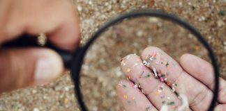 Microplastiche e salute della donna, Fondazione Sigo avvia percorso informativo